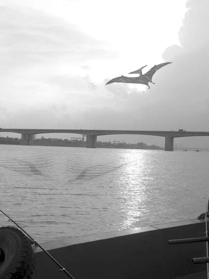 Đi[-]tìm[-]sự[-]thật[-]“quái[-]vật[-]sông[-]Hồng[-]dài[-]40m”